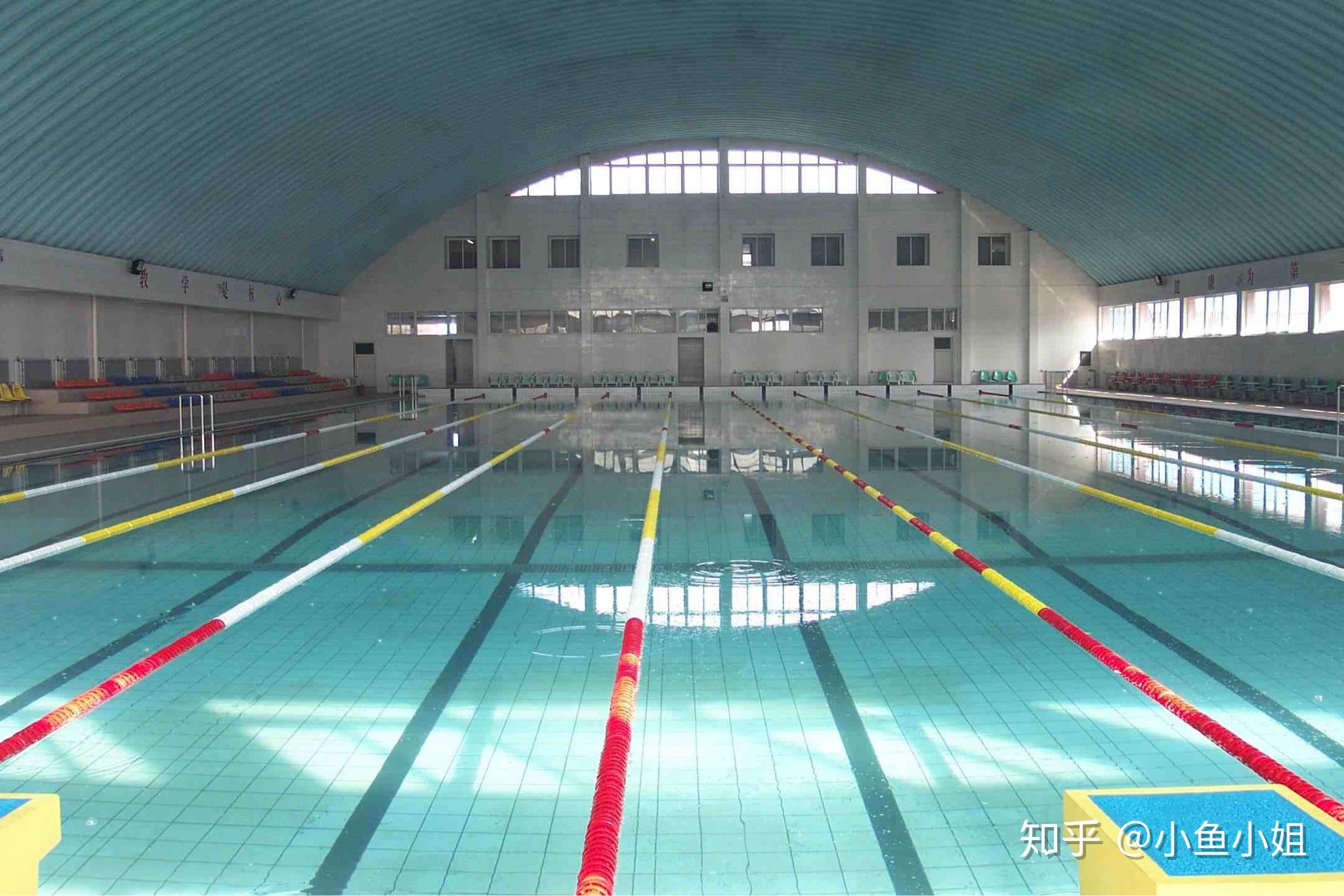 浙江工业大学游泳馆图片