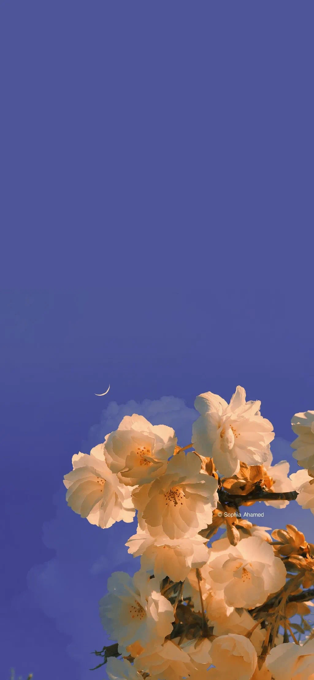 你有哪些好看到爆的壁纸我来收图啦