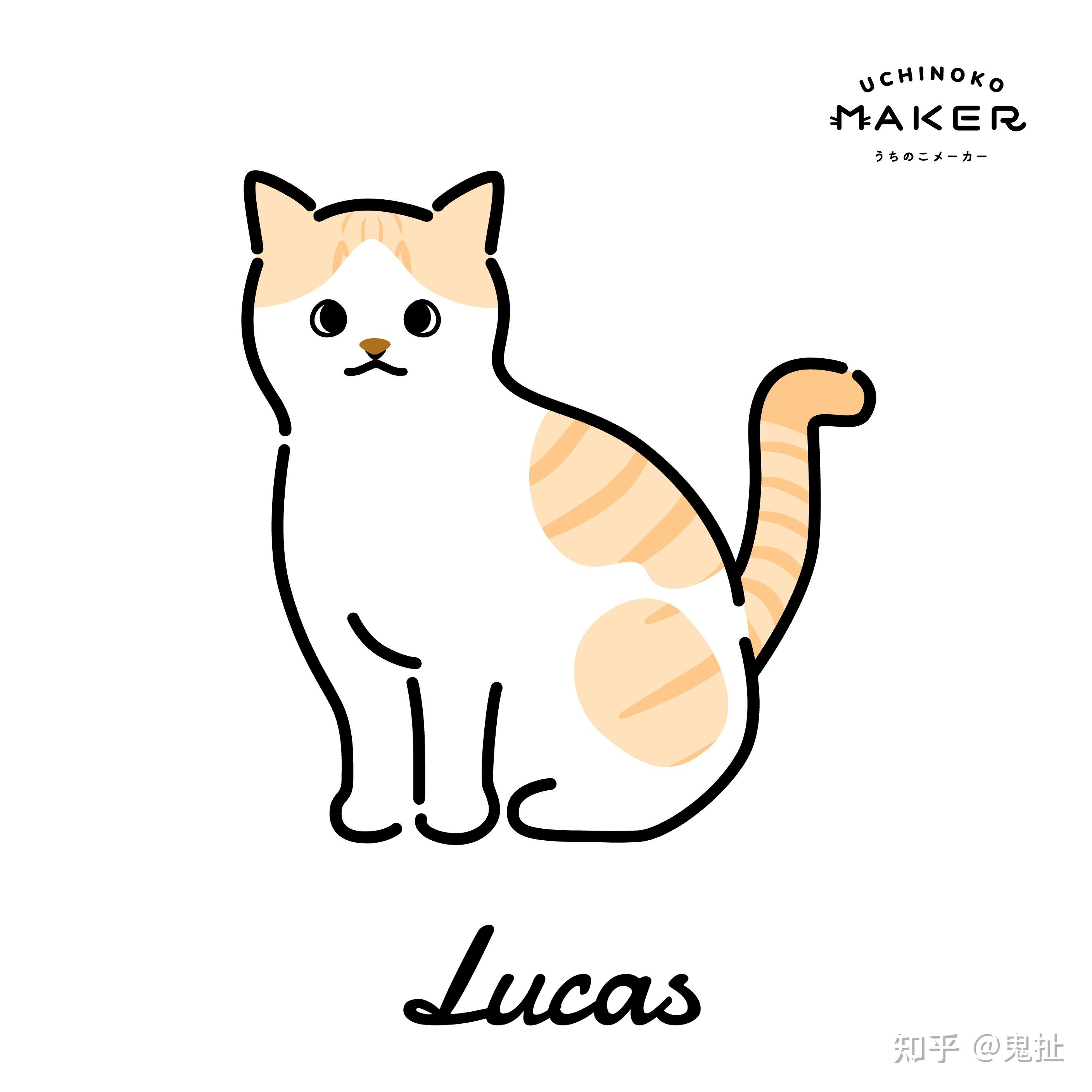 关注问题 ​ 写回答 登录/注册 墨墨背单词 cat tax猫税是什么?