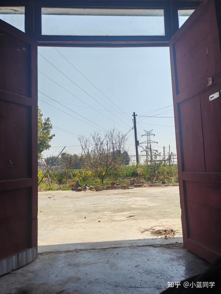 人，可以废物到什么程度？