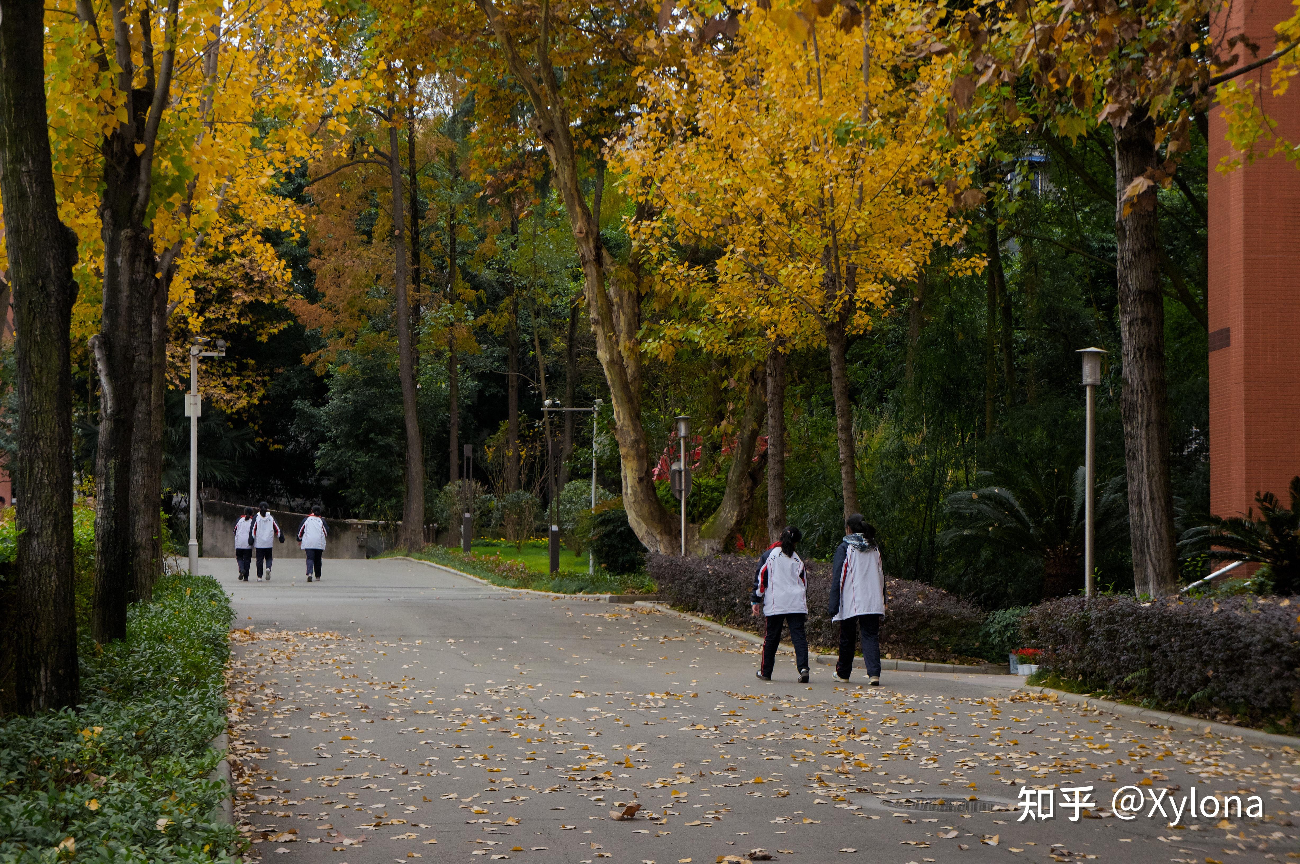 在成都教科院附中高中石室天府川師附中就讀是一種怎樣的體驗