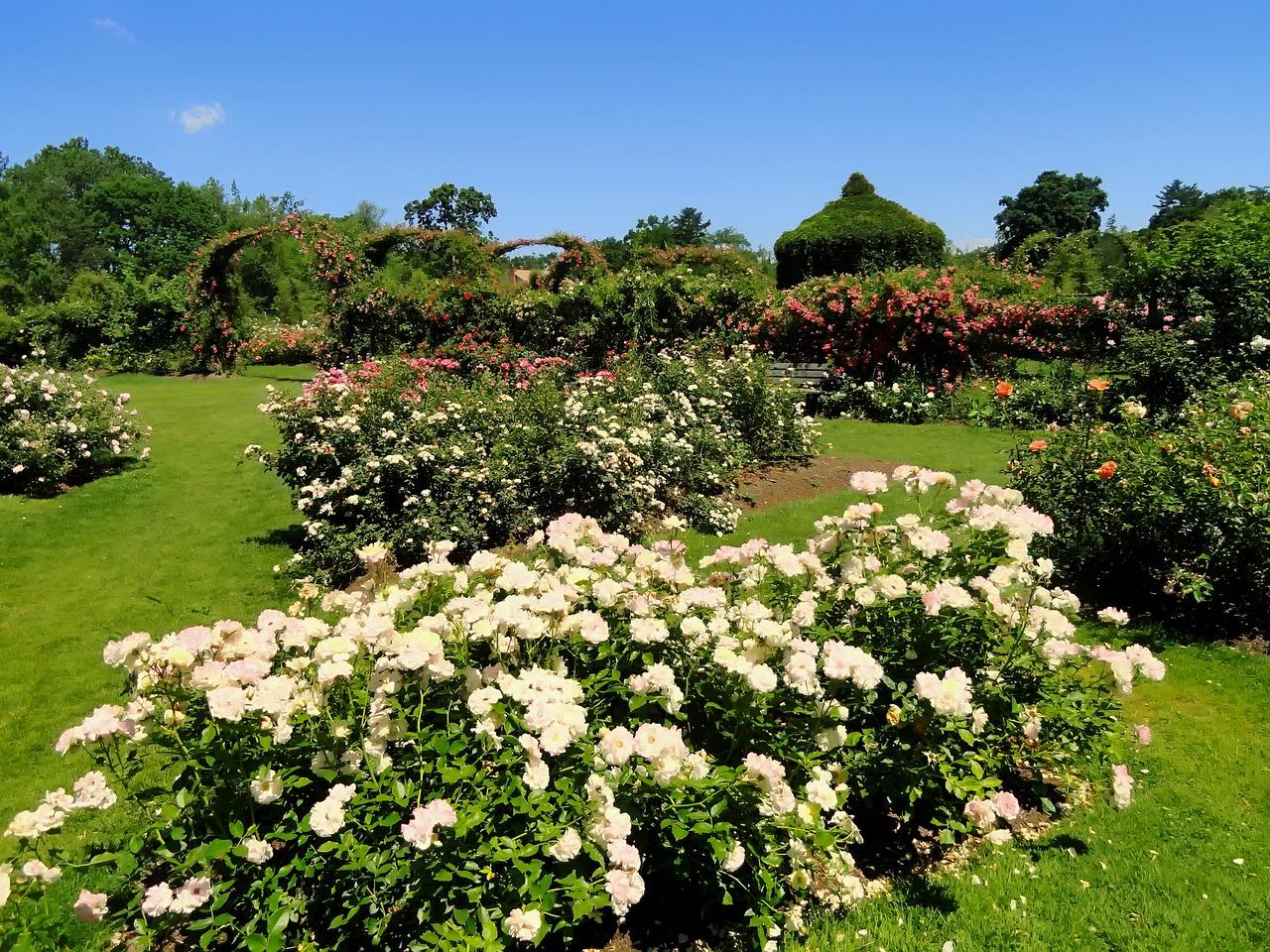 伊丽莎白东岸是什么物业