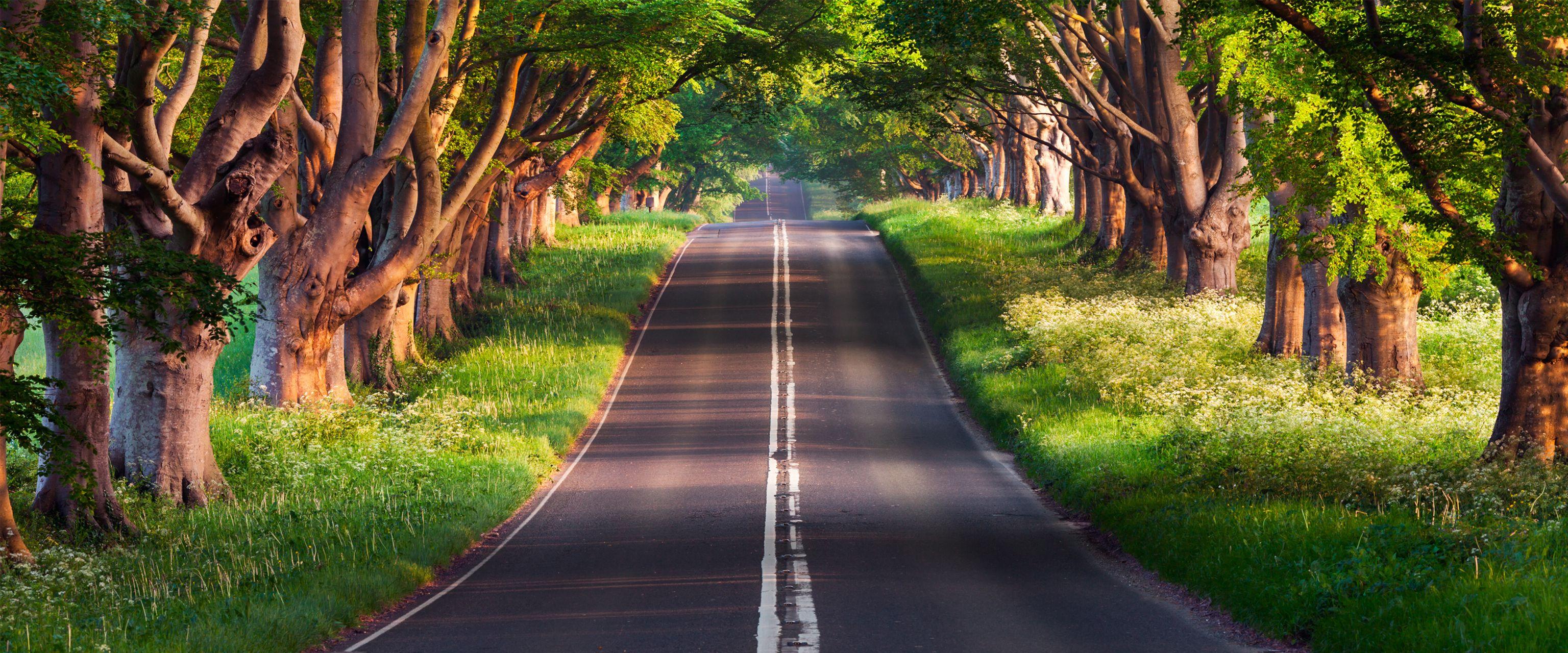 有没有好看的带鱼壁纸,电脑宽屏的! - 知乎