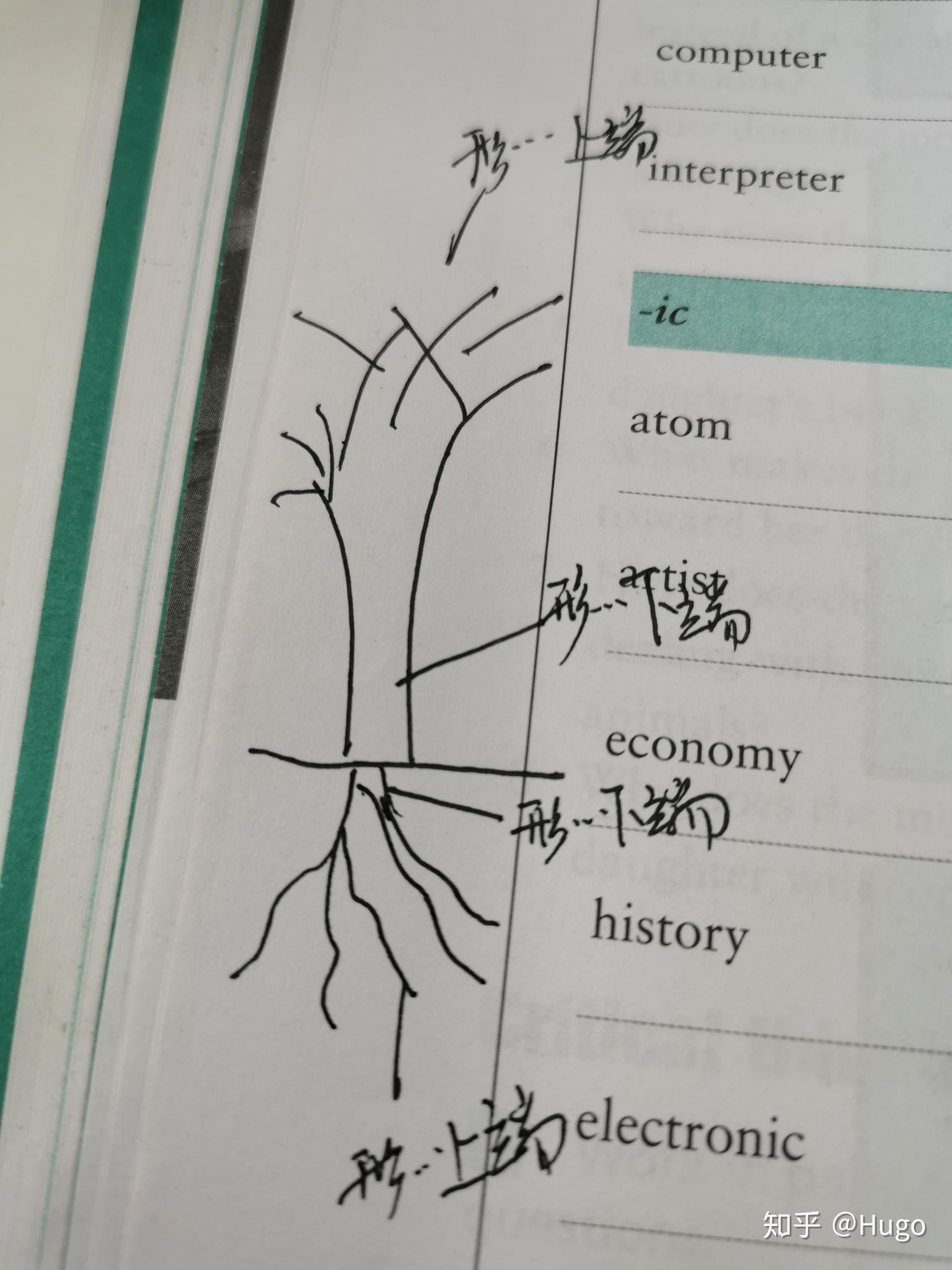 形态学顶端和形态学基端与形态学上端和形态学下端是什么? - 知乎