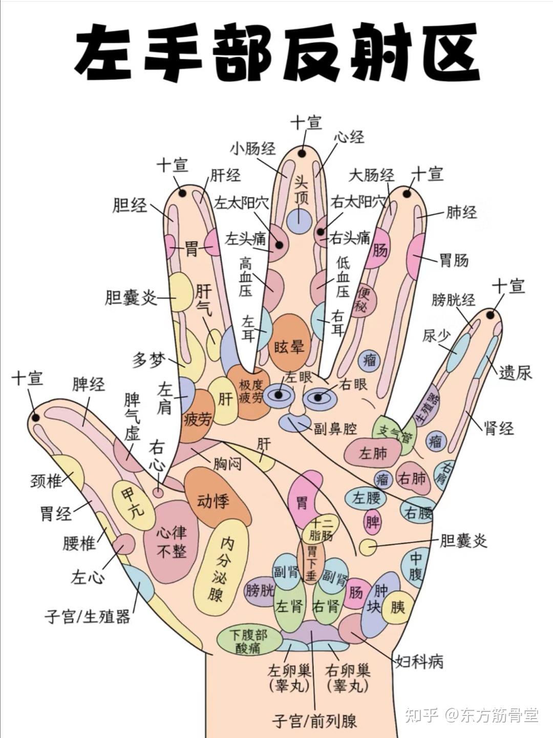 中医高手在民间,学会手诊口诀,你就是半个中医 - 知乎