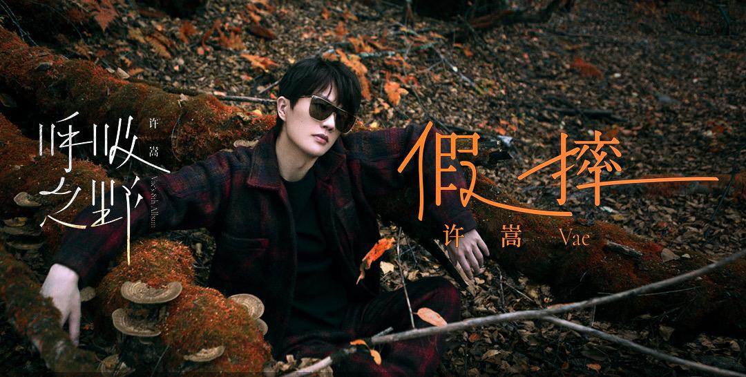 如何评价许嵩新歌假摔