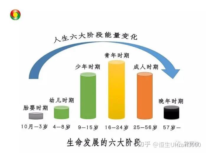 人体的十二正经之第八条经络——肾经 - 知乎