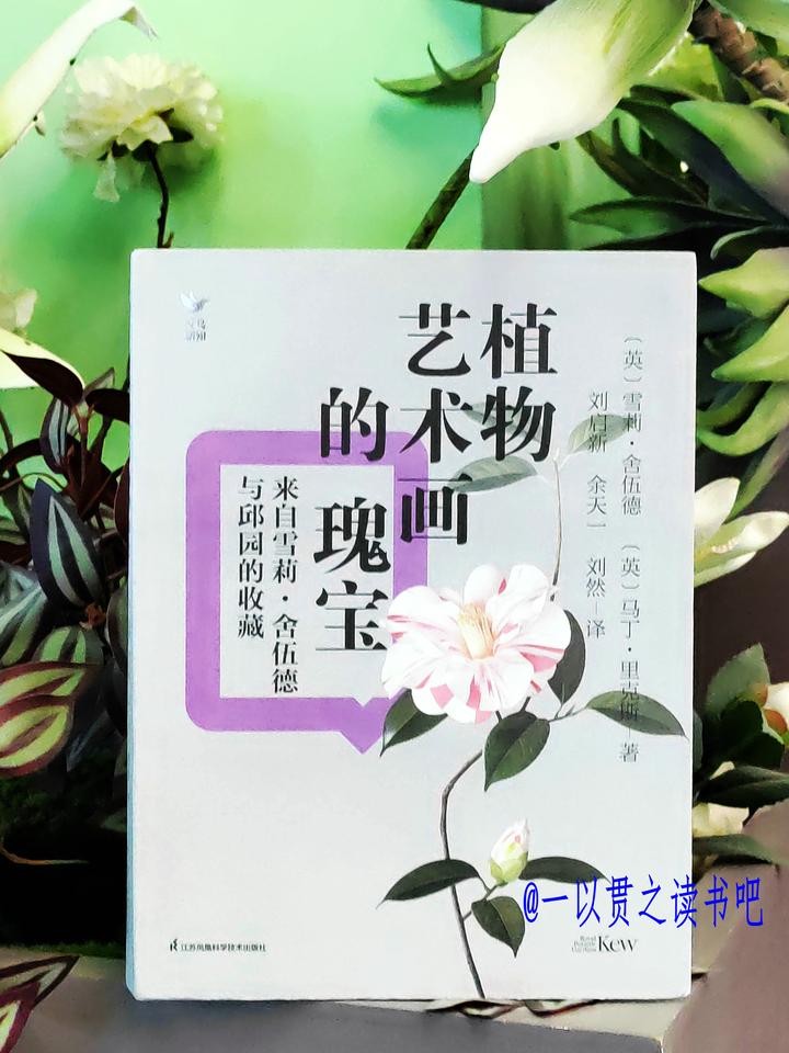 在笔尖绽放的永恒:于《植物艺术画的瑰宝》中重拾对自然的敬畏 - 知乎