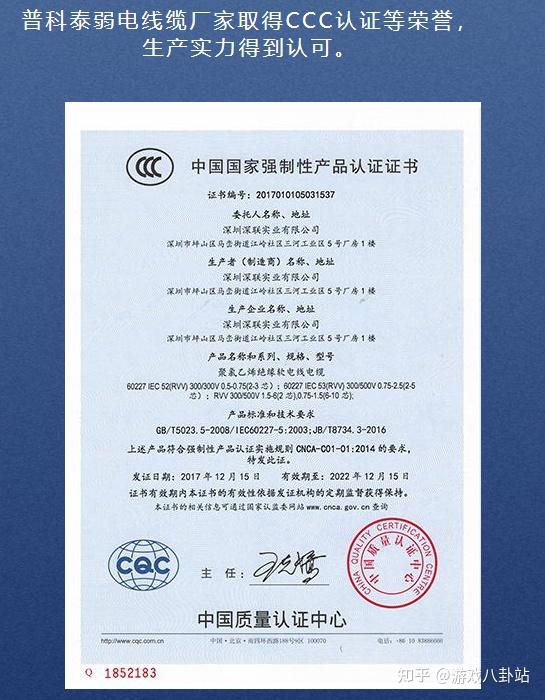 2025年7类网线品牌推荐：十大厂商对比与选购指南 - 知乎