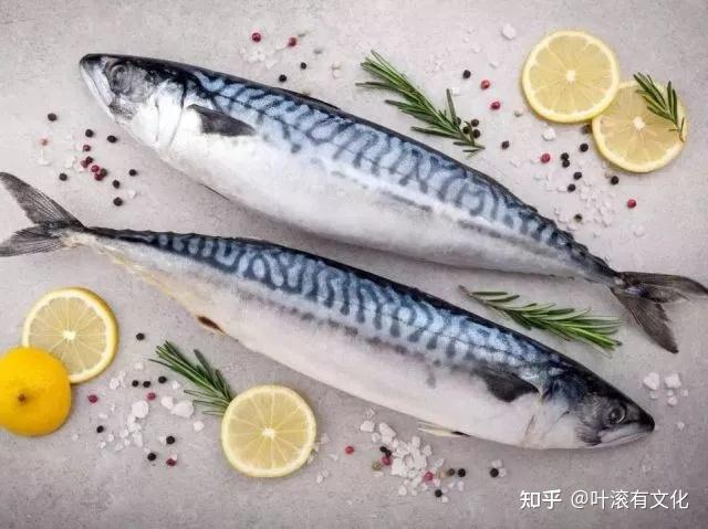 科普某些能吃的鱼,如何让我今晚就想「再去」尝鲜? - 知乎