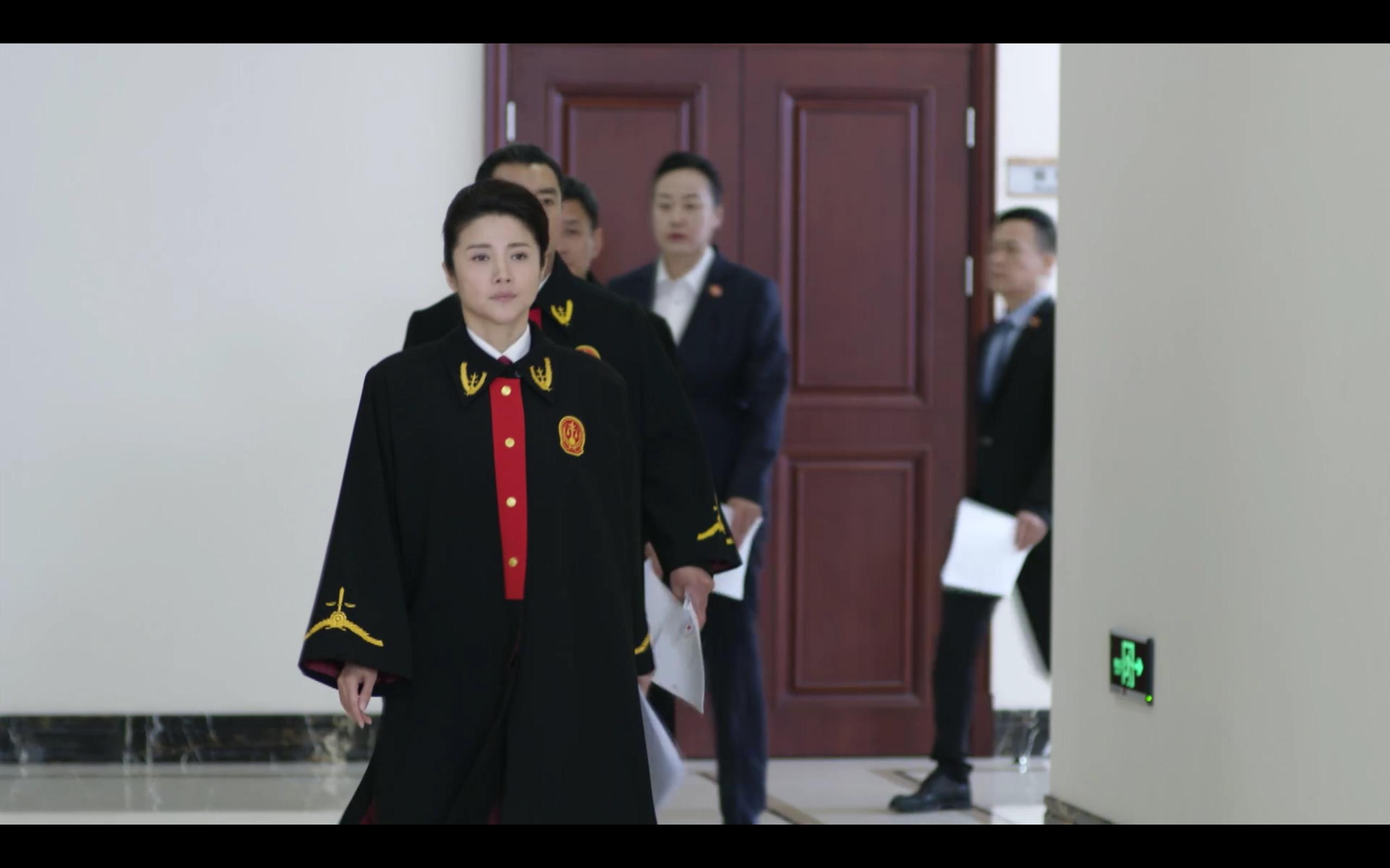 如何看待电视剧阳光下的法庭