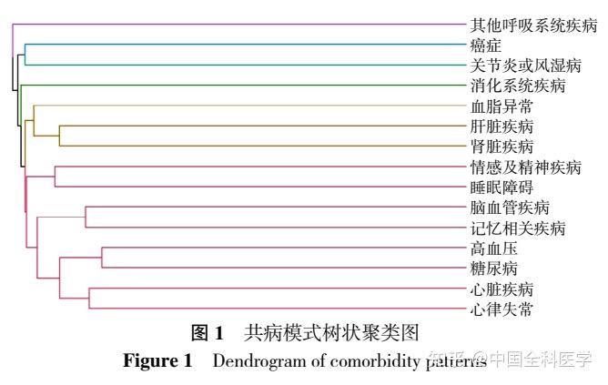 慢性阻塞性肺疾病患者共病模式系统聚类分析及其对住院费用的影响 - 知乎