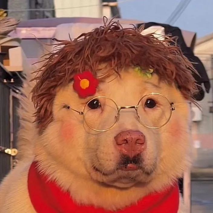 有什么沙雕但very可爱的头像呀? - 知乎