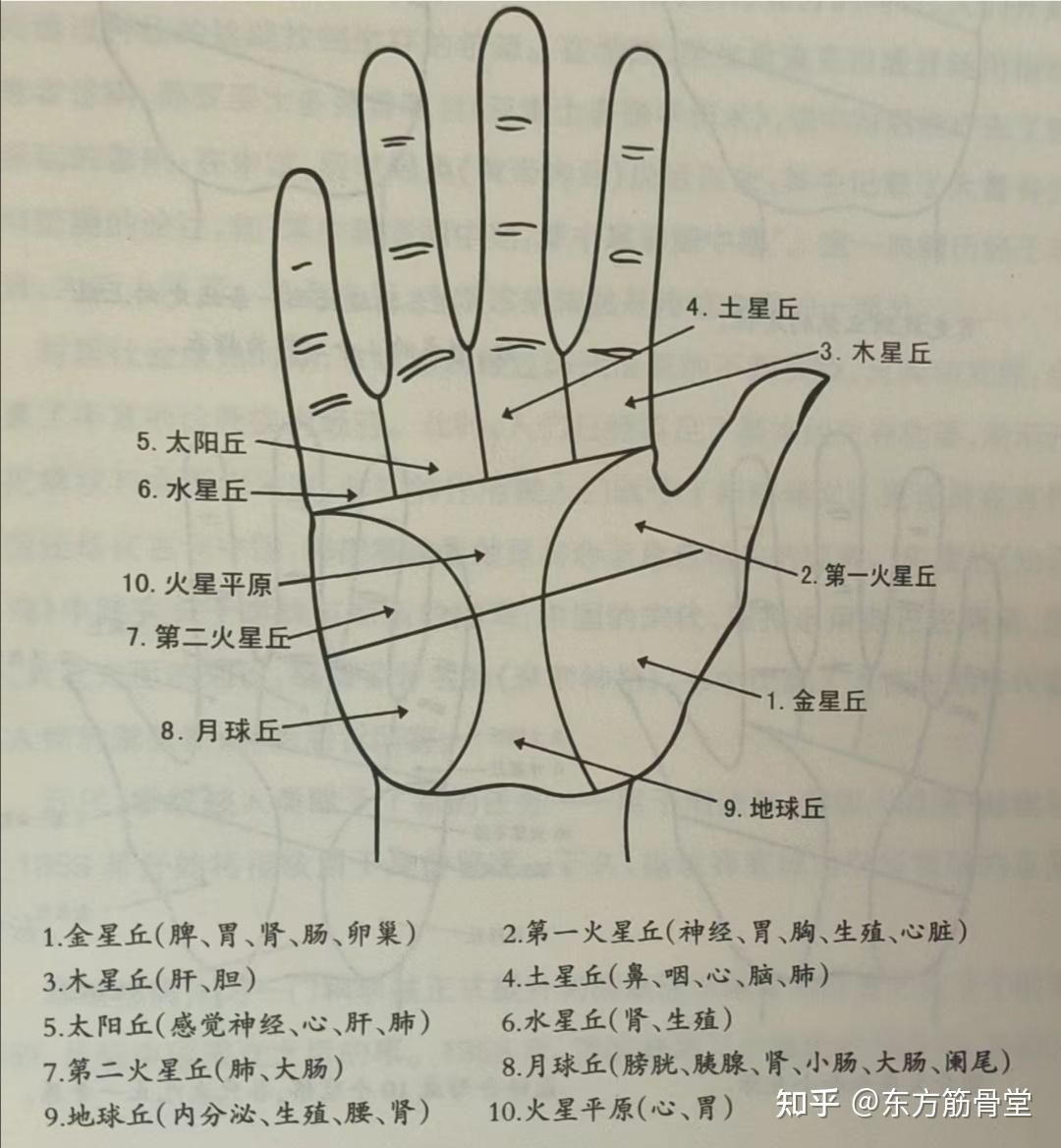 几乎失传的手诊基本常识,非常珍贵!(建议收藏)