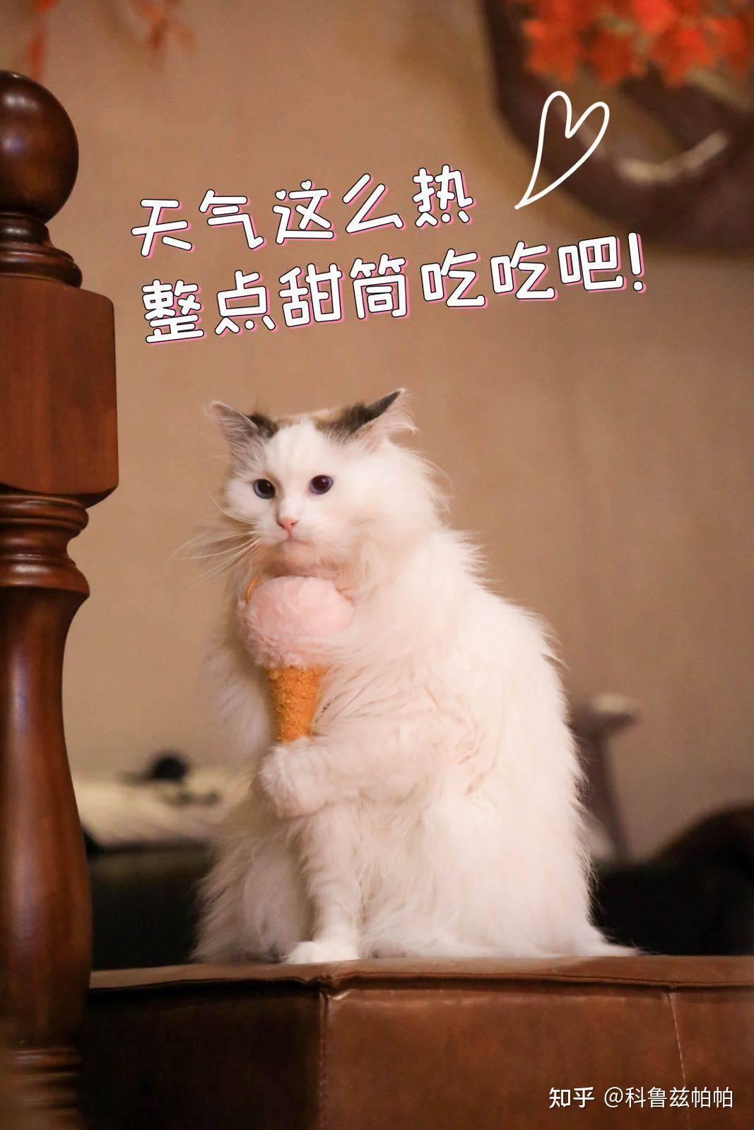 抖音版笑傲=抖音笑傲江湖复古视频怎么拍