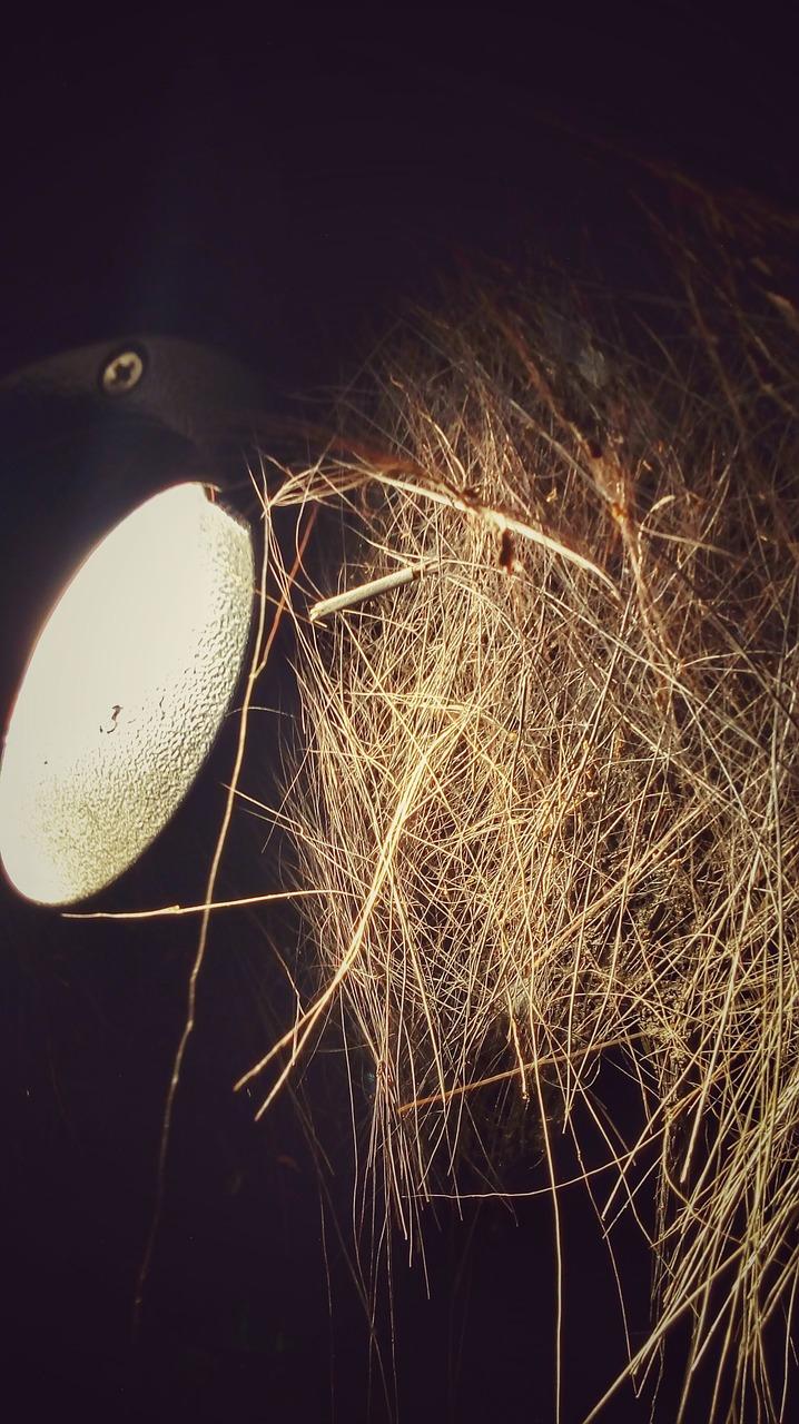 夜光石是怎么亮的