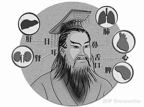 人体孔窍,入穴来风? - 知乎