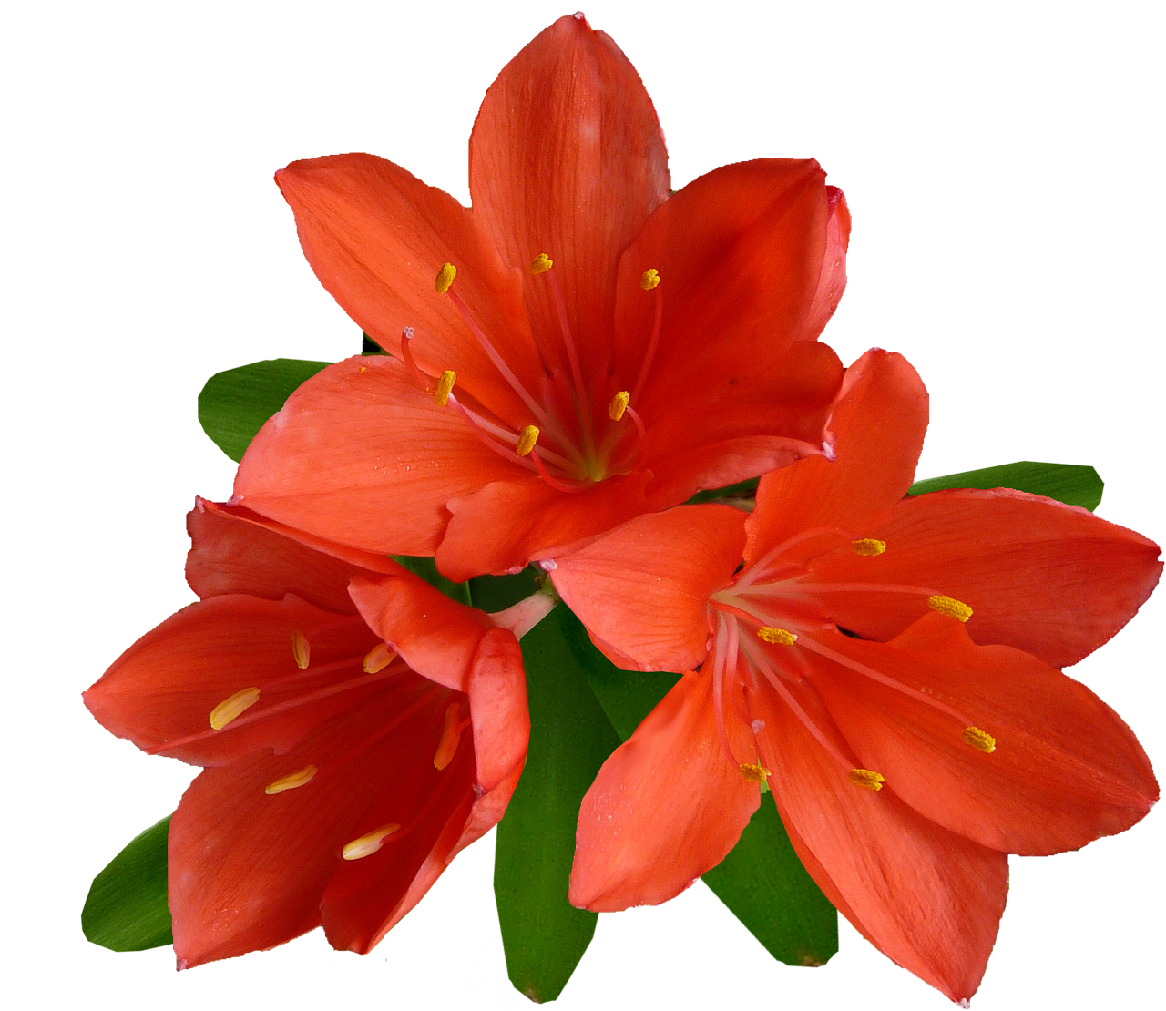 氙气大灯多少钱一对