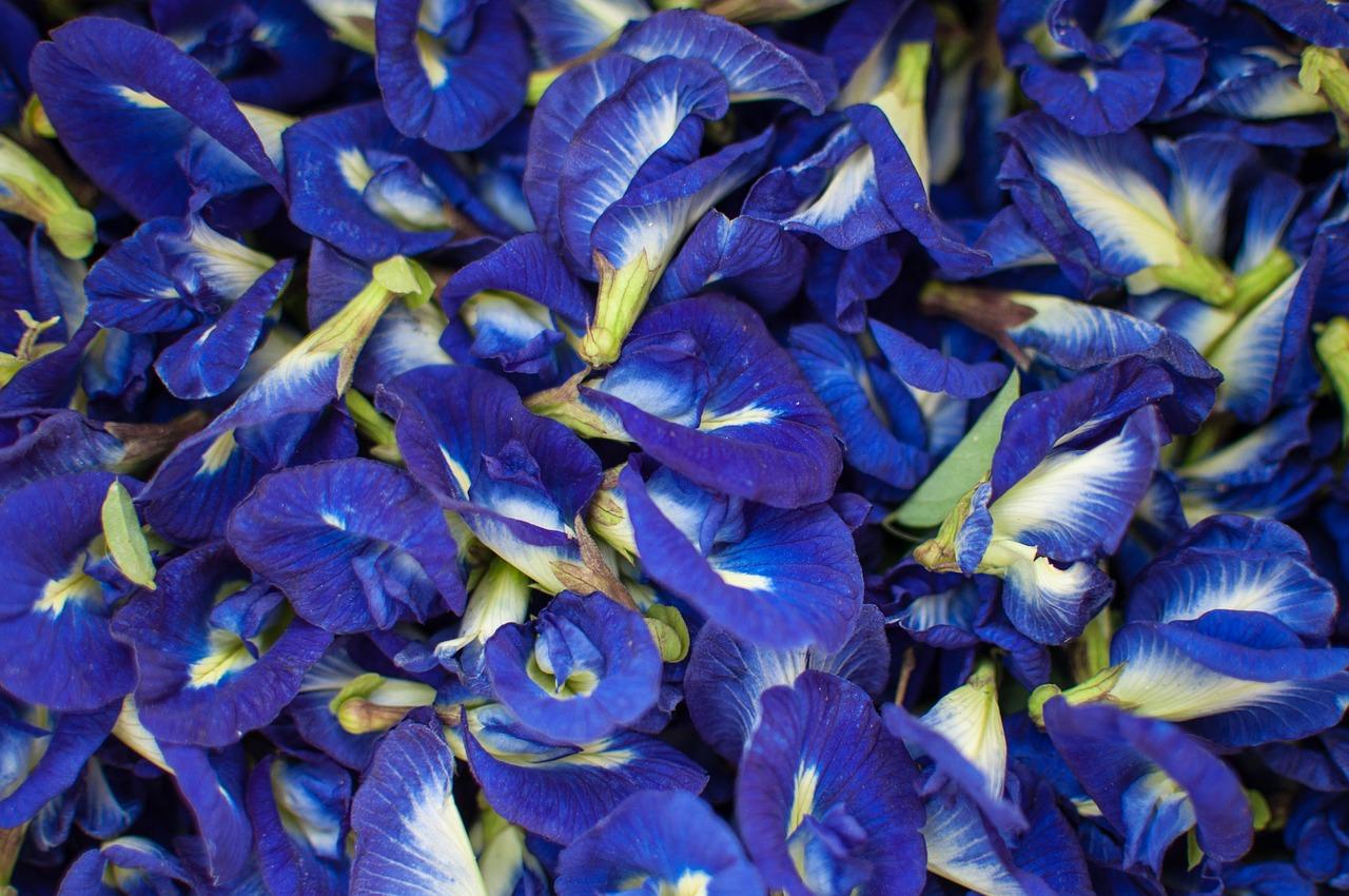 5. 蚕丝重量估算