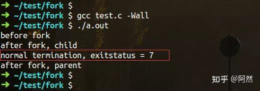 Linux fork 后 wait 获取子进程结束的状态示例 - 知乎