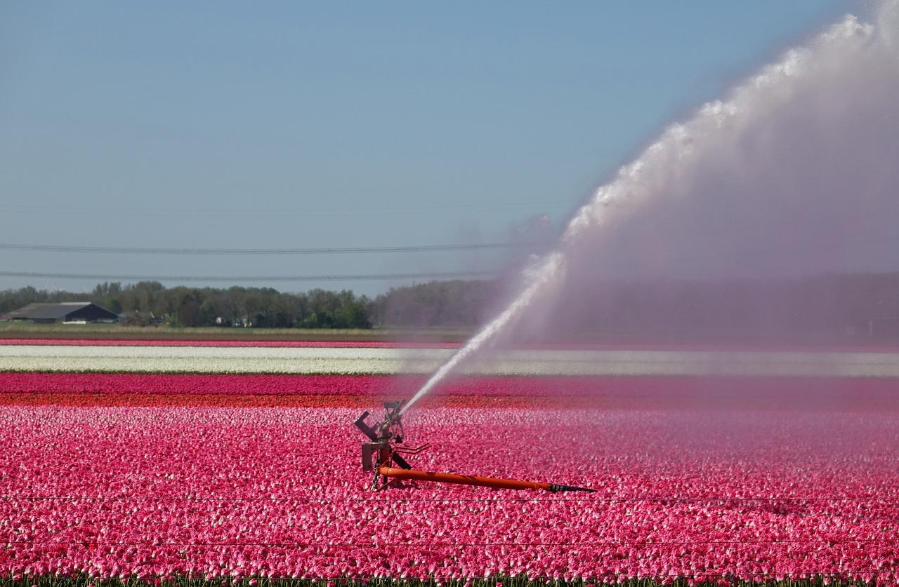4. 水质检测指南