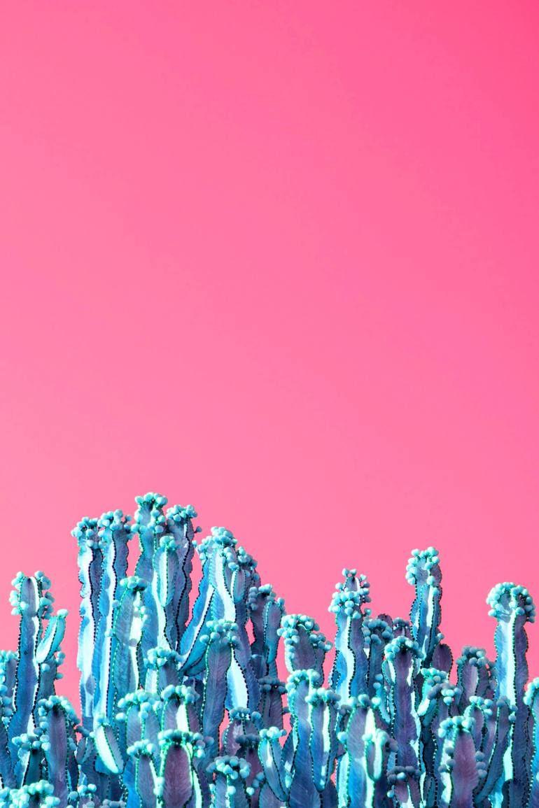 可以分享一些粉蓝配色的壁纸吗?