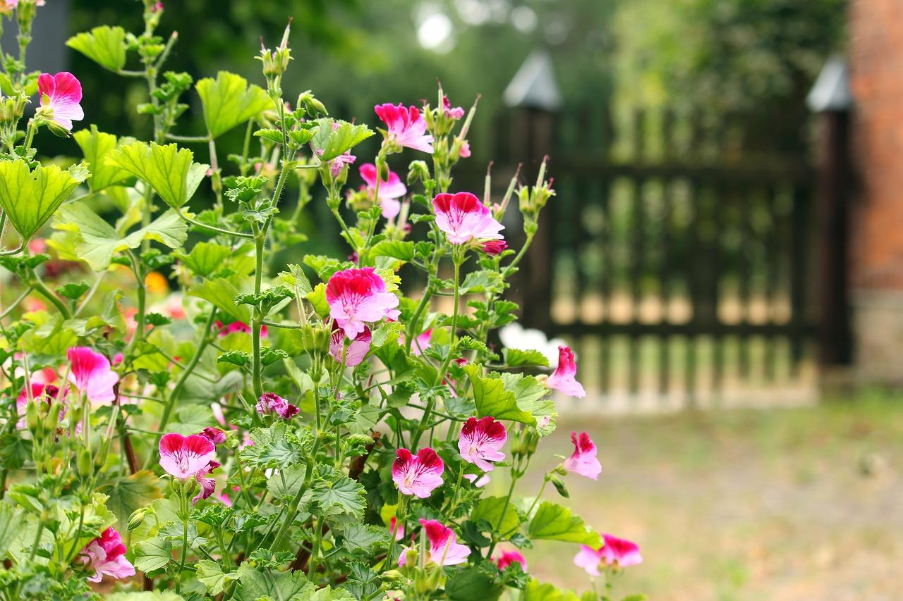 2. 生态宜居环境