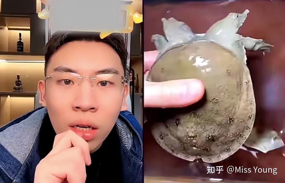 抖音上的听泉鉴宝是真的会鉴宝吗? - 知乎