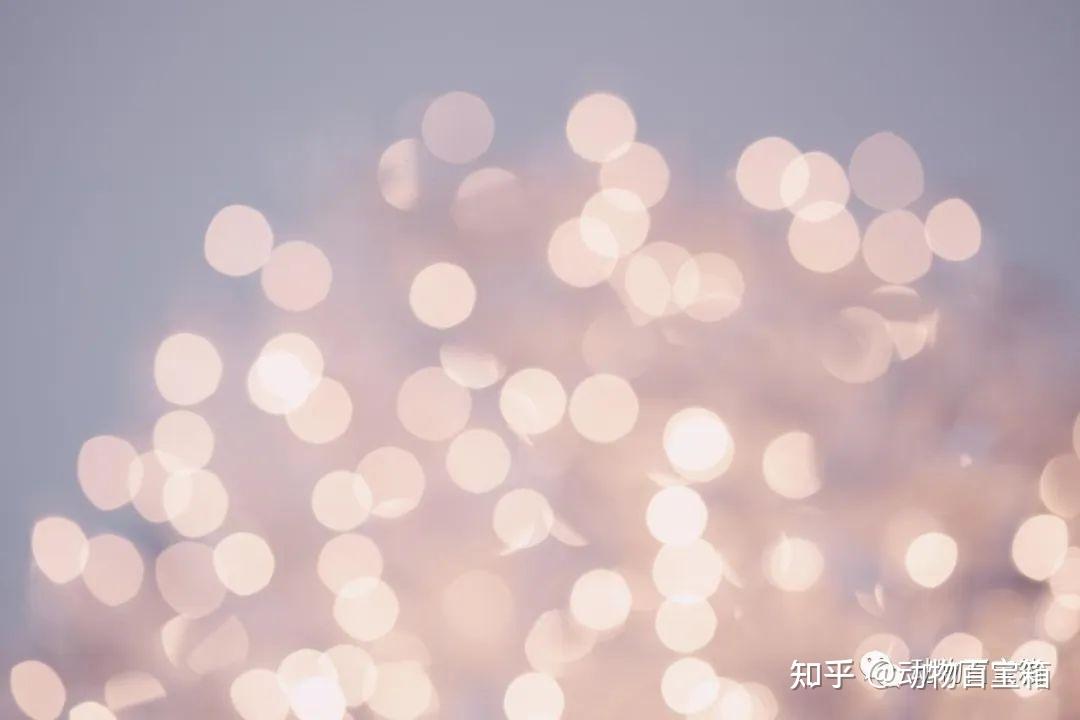 光年有多远?光走1光年,真要1年的时间?光:只要一瞬间 - 知乎
