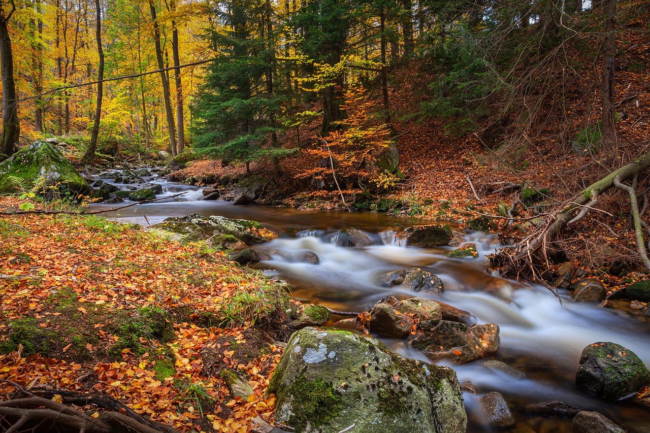 4. 房价走势分析