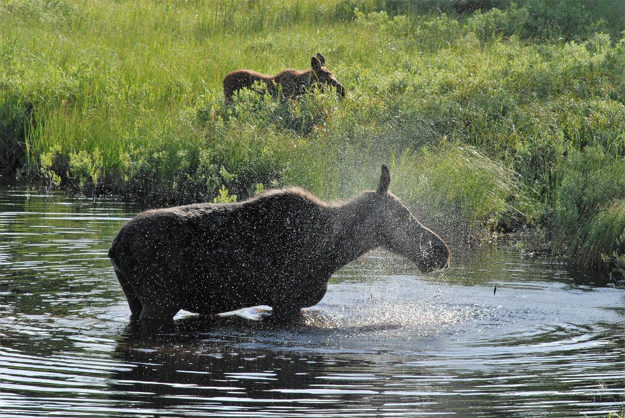 2. 喷雾除菌净化