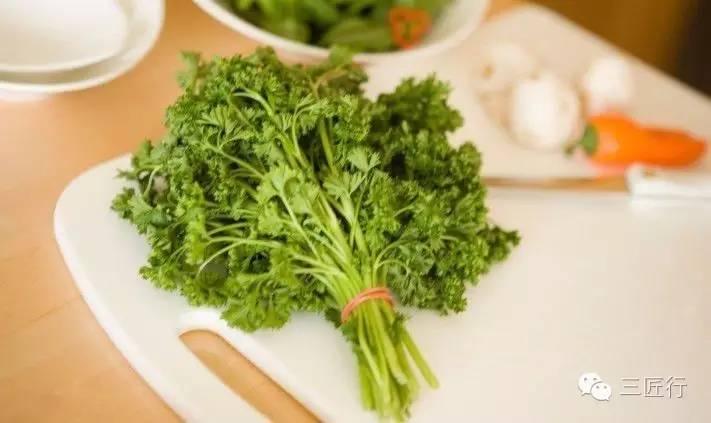 西餐里的那些“杂草”都是啥?一篇文章带你认识香草 - 知乎