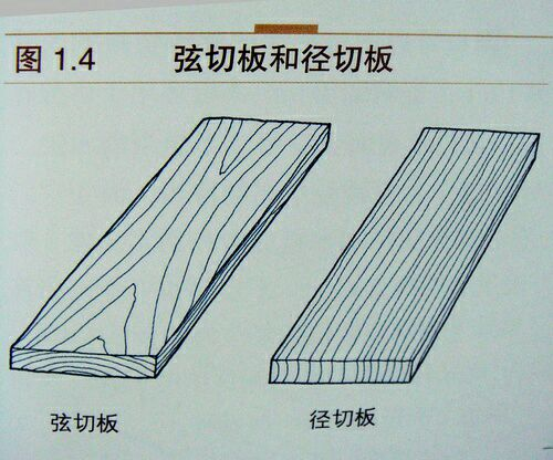 从材料的角度挑选一把小提琴 - 知乎