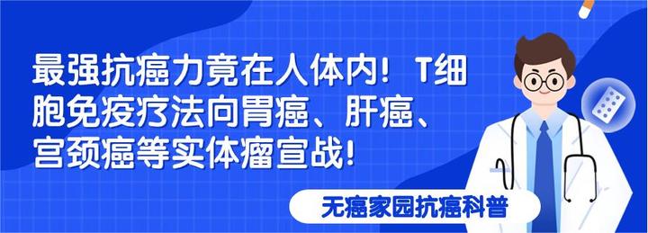 最強抗癌力竟在人體內t細胞免疫療法向胃癌肝癌宮頸癌等實體瘤宣戰