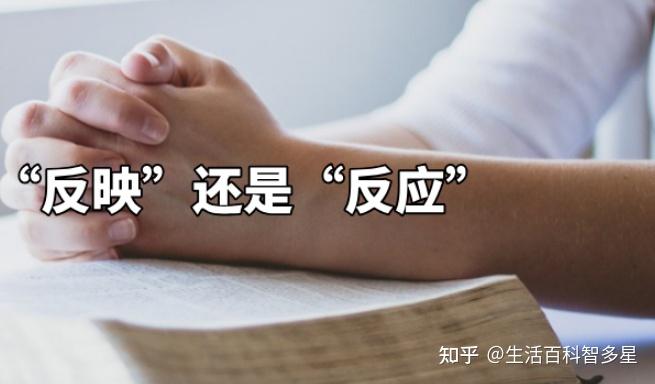 “反映”和“反应”的区别,你用对了吗 - 知乎
