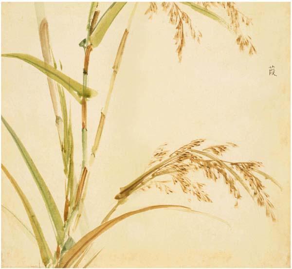 《诗经》里87种唯美植物,你知道它们长什么样吗? - 知乎
