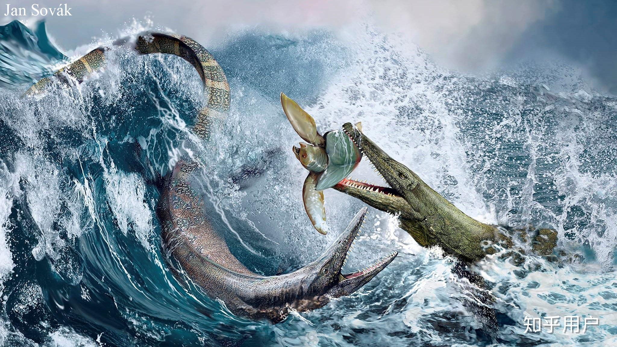 请问沧龙和上龙之间有什么区别吗