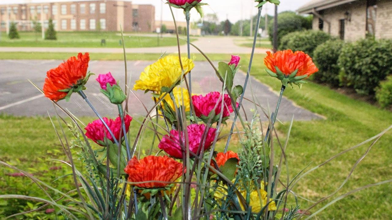 蒜种选种标准说明