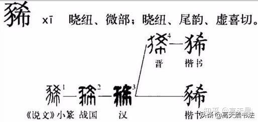 “猪”与“家”的汉字演变与文化内涵 - 知乎
