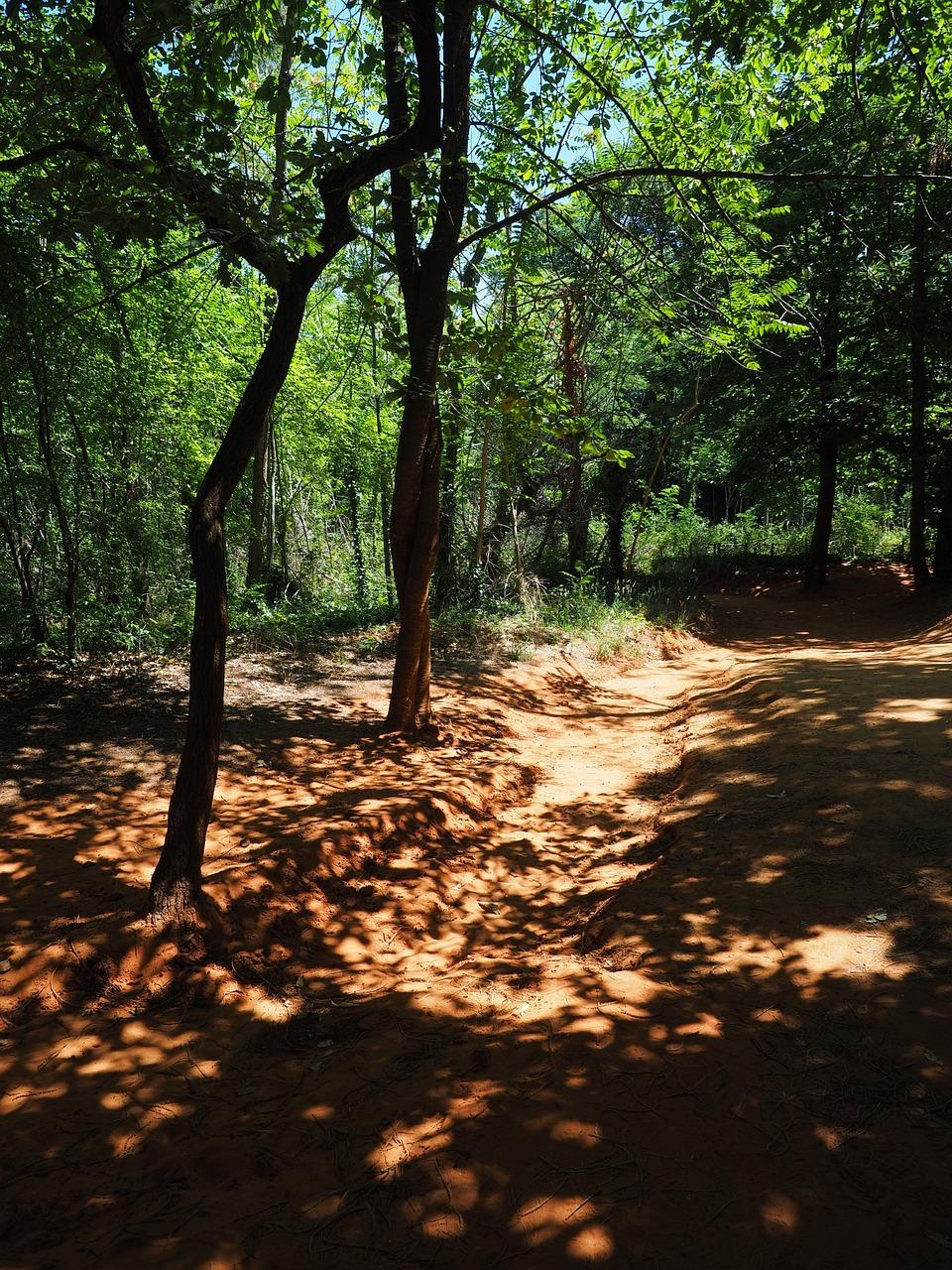 工地扬尘用什么覆盖