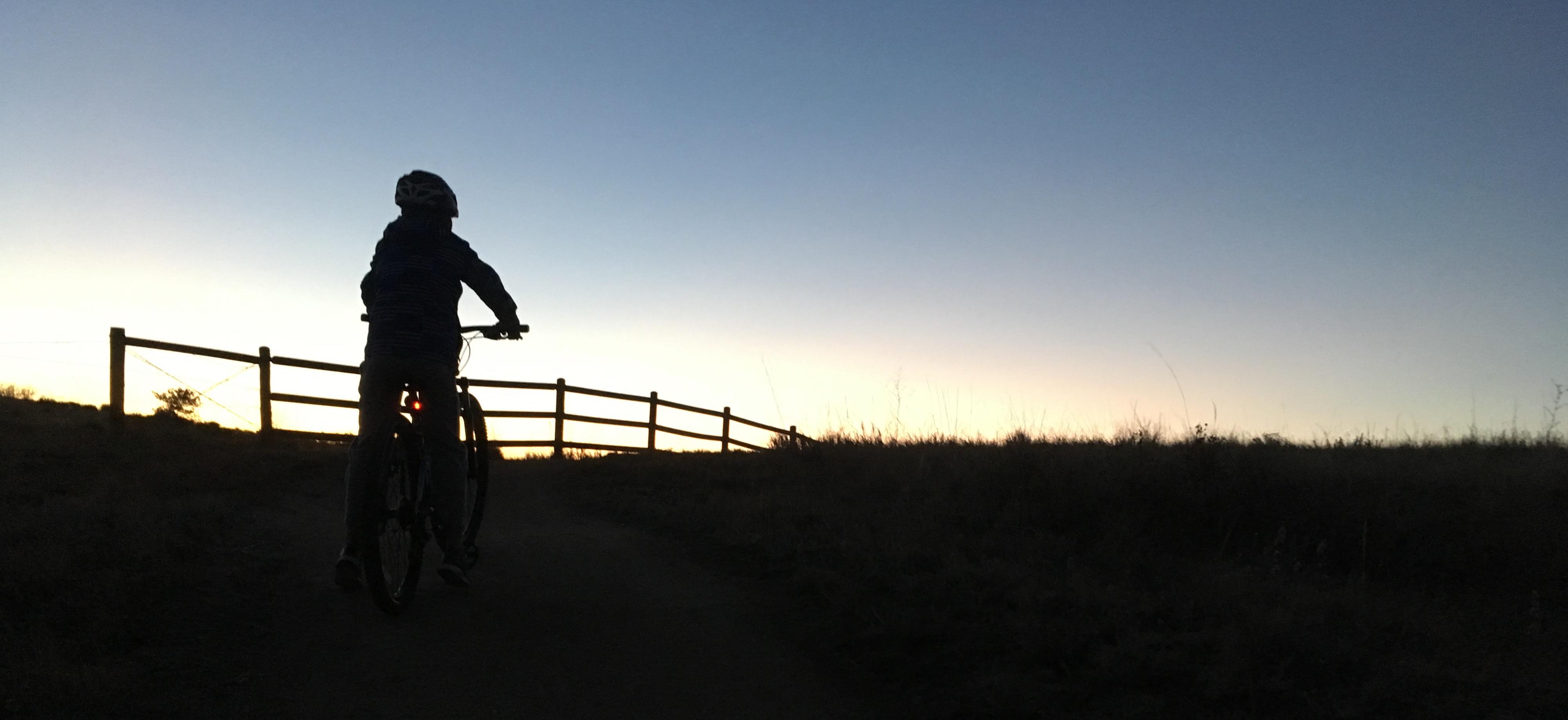 谷歌「机弦」有何玄机?