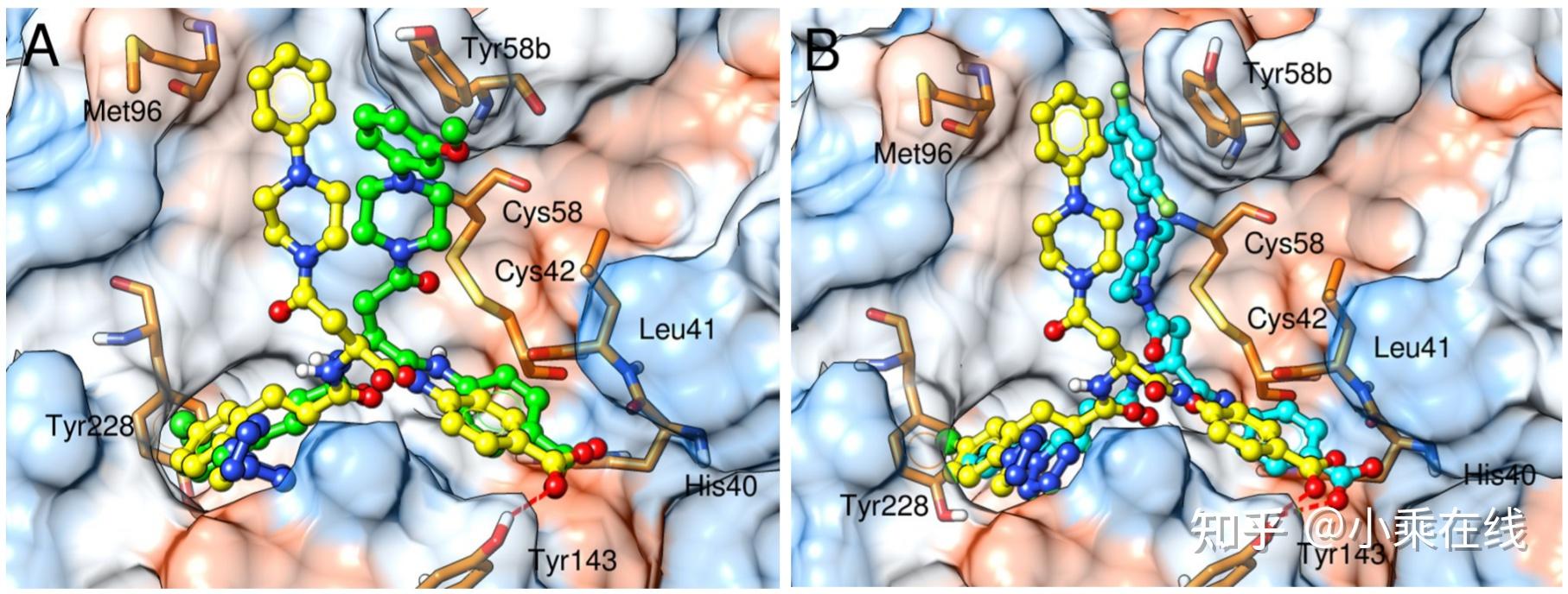 Discovery of novel aspartate derivatives as highly potent and selective ...