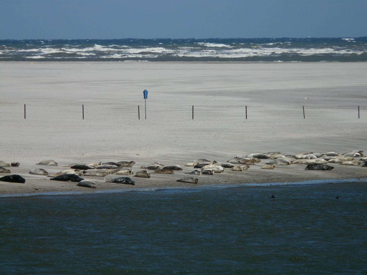 3. 常见漏保安培选