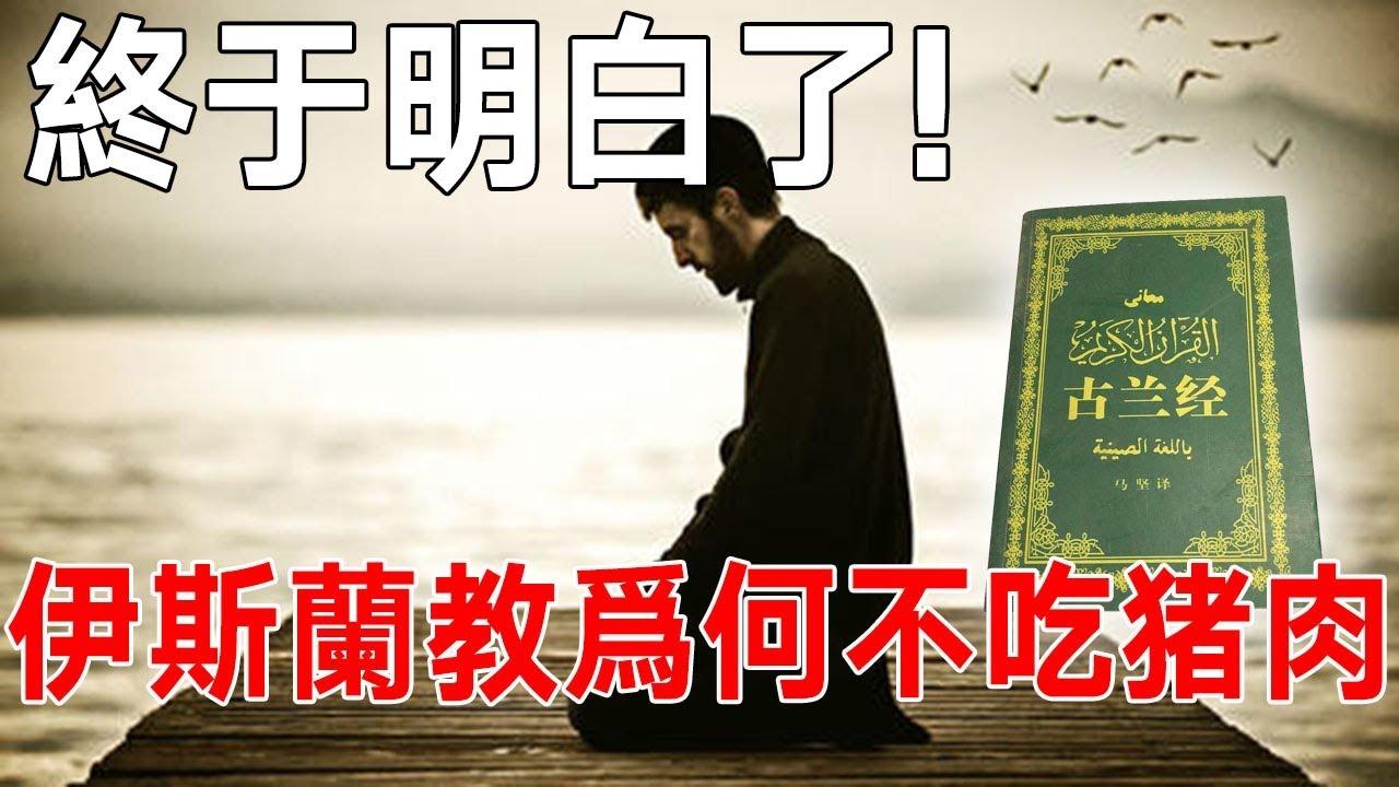 为什么不明白为什么不记得什么歌百科在线