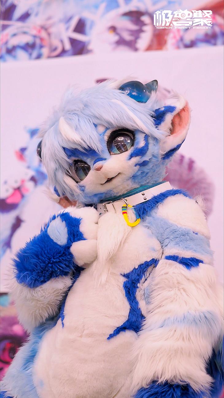 上海729极兽聚都有哪些兽