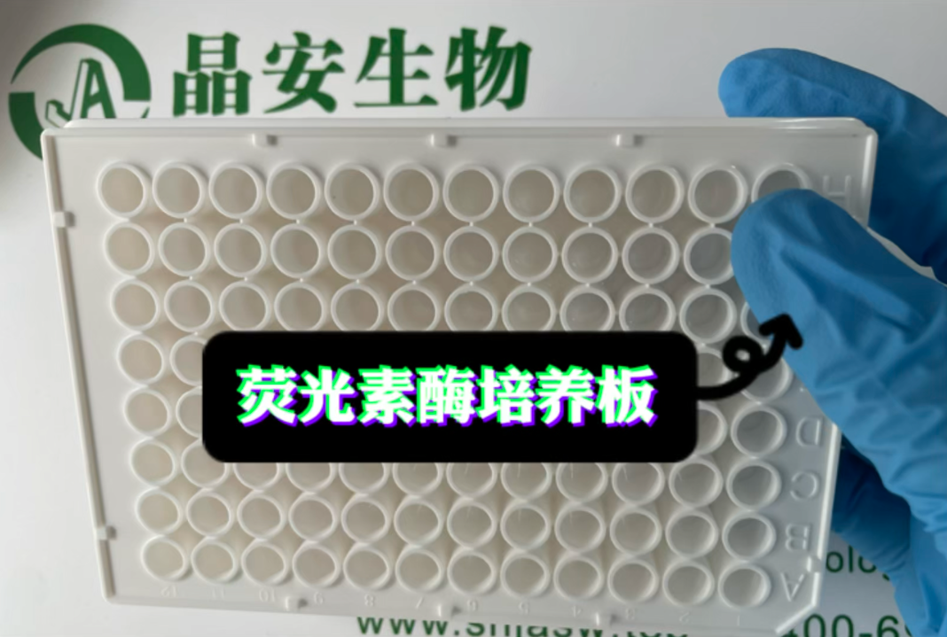96孔白色板荧光素酶检测板96孔化学发光板luciferase96孔板细胞培养板