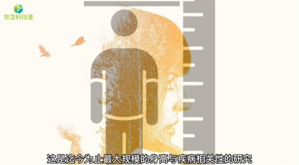 研究表明个子高或许也是一种健康风险因素 - 知乎