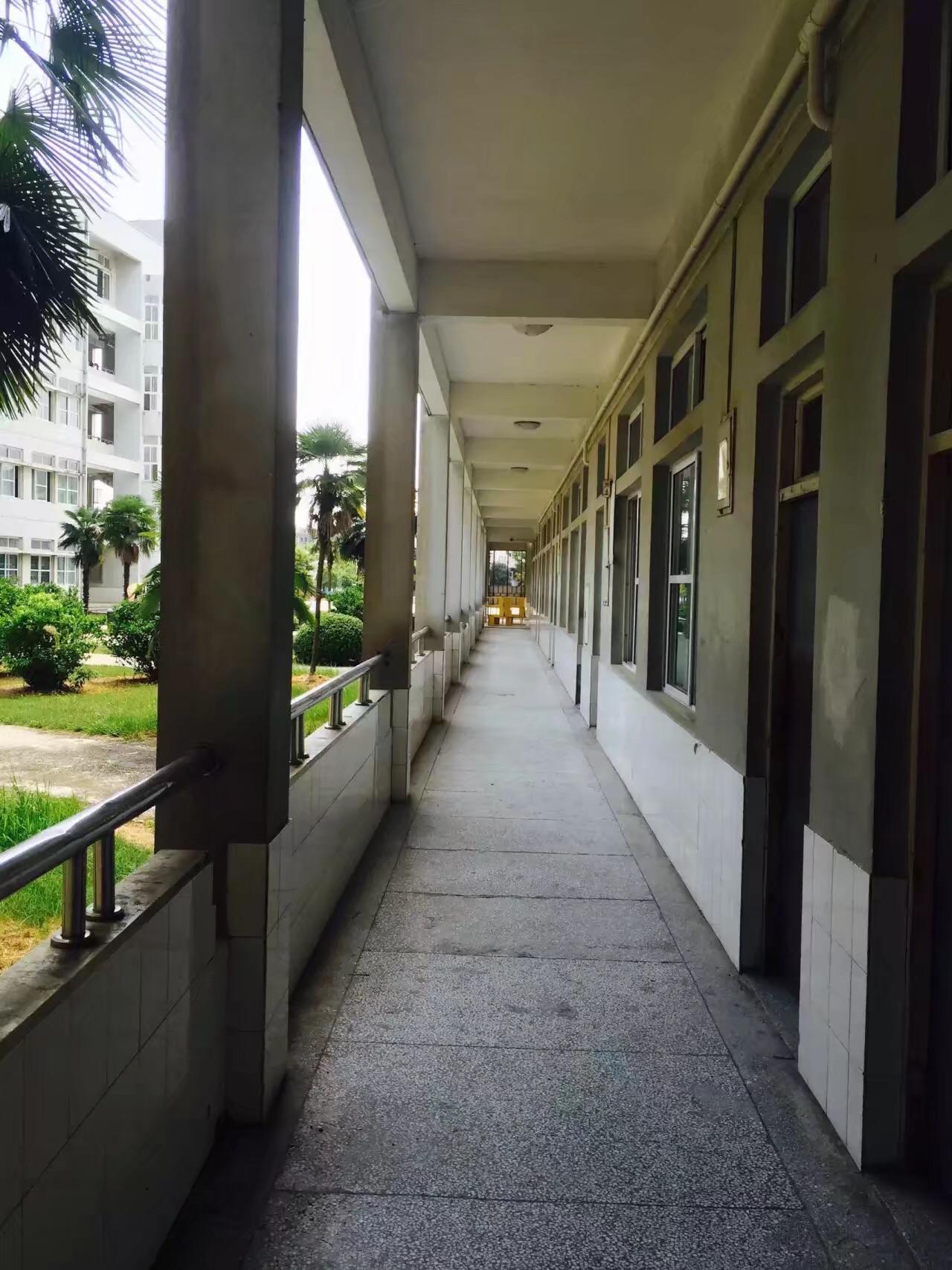 你在黄梅一中有哪些难忘的回忆? - 知乎