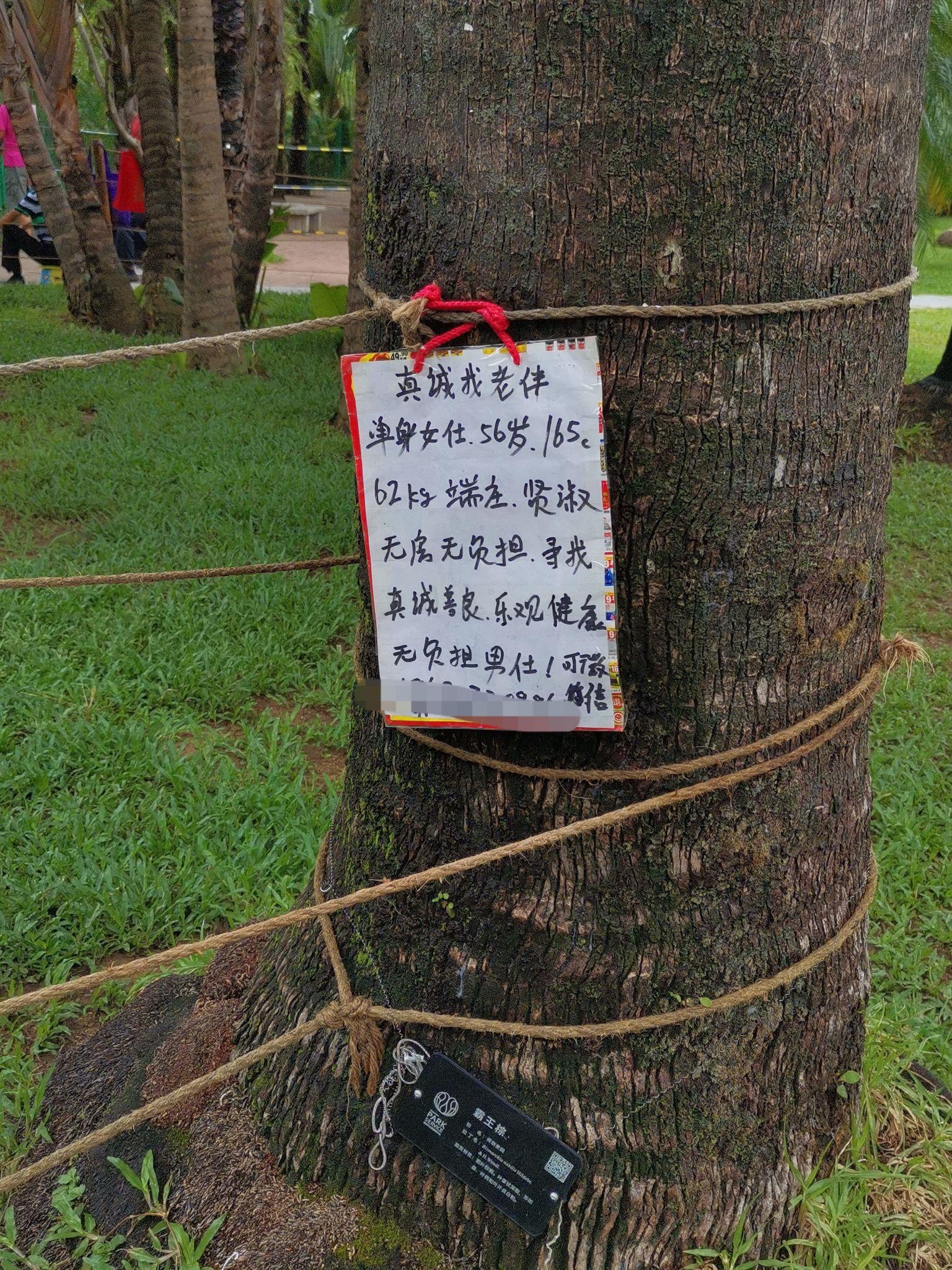 深圳莲花山公园的相亲角靠谱吗