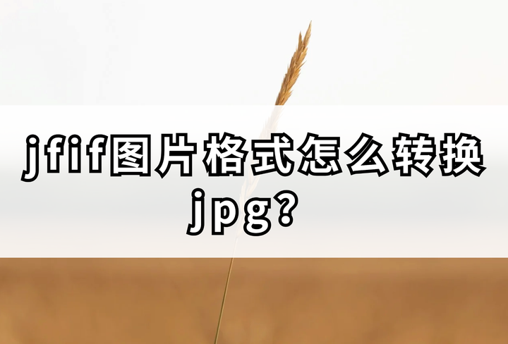 jfif图片格式怎么转换jpg?4个方法轻松搞定 - 知乎
